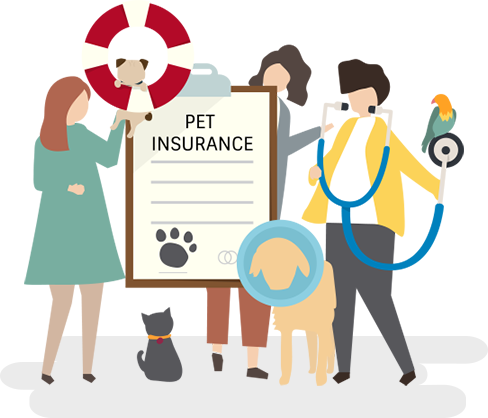 Pet Insurance